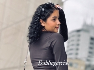 Dahliagarrido