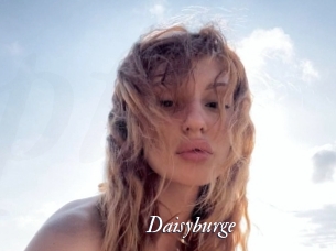 Daisyburge