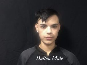 Dalton_Male