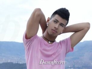 Damnfoxter