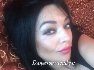 dangerous_wild_cat Partouze