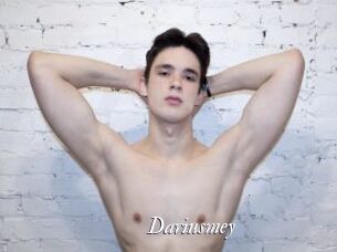 Dariusmey