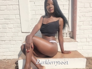 Darkberry1001