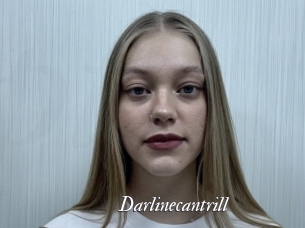 Darlinecantrill