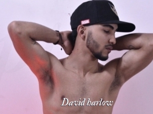 david_harlow Partouze