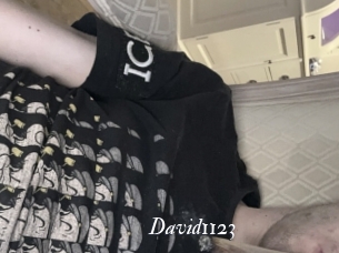 David1123