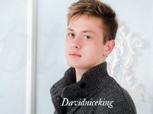 Davidniceking