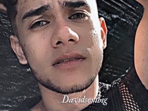Davidsexibig