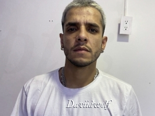 Daviidwolf