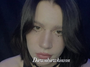 Dawnhawkinson