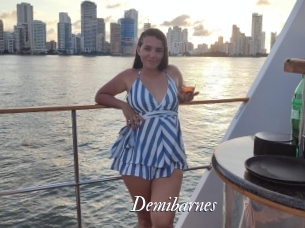 Demibarnes