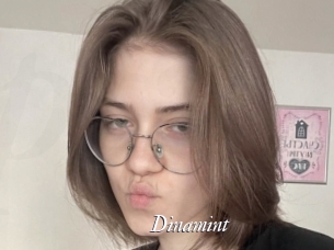 Dinamint