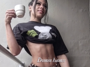 Domin_hamss