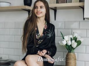 Dominicafox