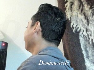 Dominicsteele