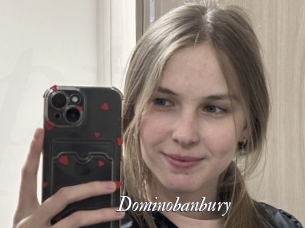 Dominobanbury