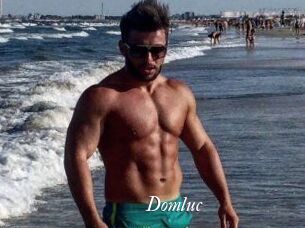 Domluc