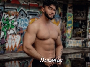 Donmerlin