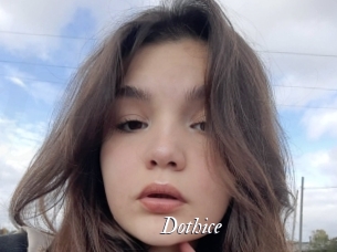 Dothice