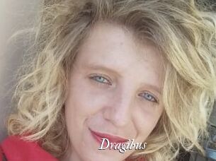Dragibus