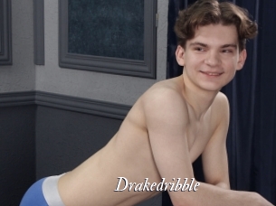 Drakedribble