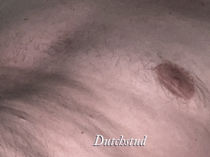 Dutchstud