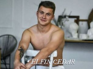 ELFIN_CEDAR