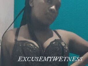 EXCUSEMYWETNESS