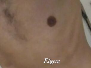 Eligetu Partouze
