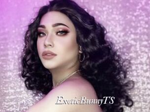 ExoticBunnyTS