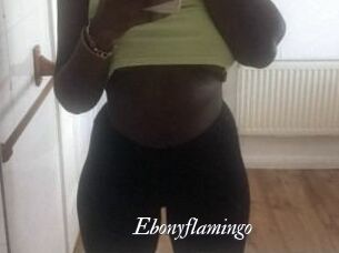 Ebony_flamingo