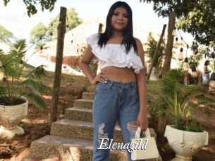 Elenagild