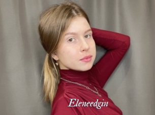 Eleneedgin