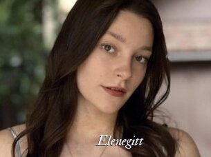 Elenegitt