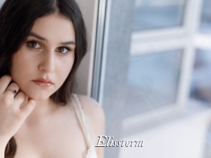 Elisstorm