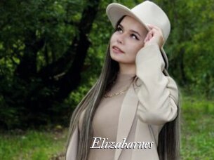 Elizabarnes