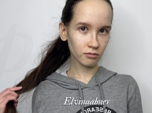Elvinaabner