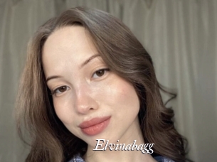 Elvinabagg