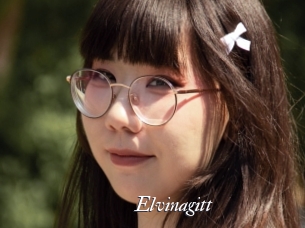 Elvinagitt