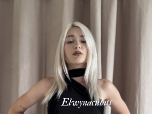 Elwynacubitt