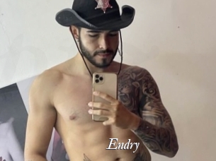endry Partouze