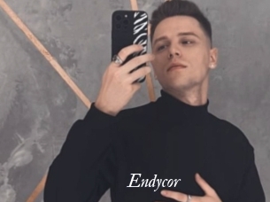 Endycor
