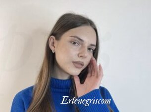 Erlenegriscom