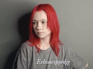 Erlinacoppedge