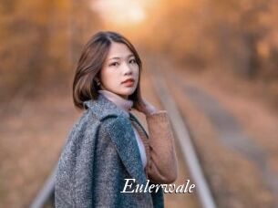 Eulerwale