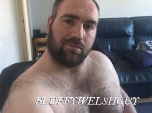 FLUFFYWELSHGUY