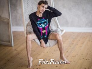 FelixFeather