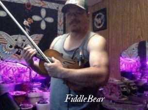 FiddleBear