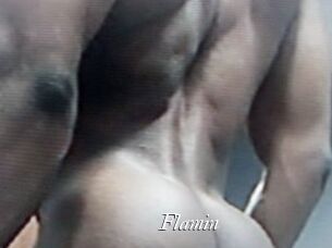 Flamin
