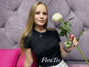 FlowTes Partouze